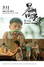 暑期何漫漫 線上看