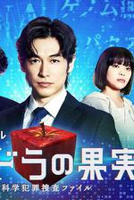 潘多拉的果實～科學犯罪搜查檔案～Season2 / パンドラの果実～科學犯罪捜査ファイル～Season2 線上看