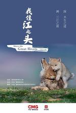 我住江之頭 線上看