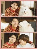 愛你汪汪 / すきすきワンワン！ 線上看