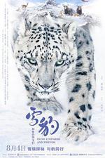 雪豹和她的朋友們 線上看