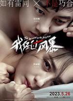 我經過風暴 線上看