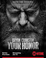 法官大人 第二季 / Your Honor Season 2 線上看