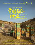 帶彩球的帳篷 線上看