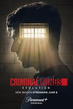 犯罪心理：演變 第十七季 / Criminal Minds: Evolution Season 17 線上看
