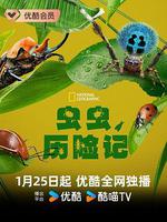 蟲蟲歷險記 第一季 / A Real Bug's Life Season 1 線上看