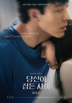 當你沉睡時 / 당신이 잠든 사이 線上看