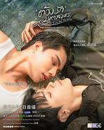 海洋之戀 線上看