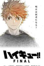 排球少年！！垃圾場決戰 線上看