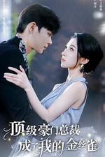 頂級豪門總裁成了我的金絲雀 線上看