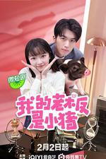 我的老闆是小豬 線上看