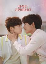 愛情像貓一樣 / 사랑은 고양이처럼 線上看