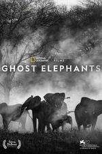 追尋幽靈大象 / Ghost Elephants 線上看