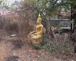 回家 線上看