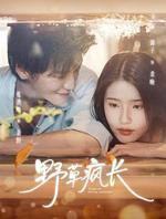 野草瘋長 線上看