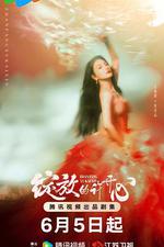 綻放的許開心 線上看