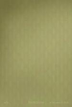 後室 / The Backrooms 線上看