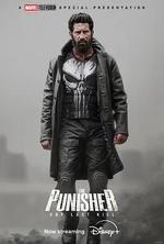 懲罰者：最後一擊 / The Punisher: One Last Kill 線上看