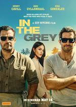 金諜行動 / In the Grey 線上看