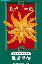 蘭香如故 線上看